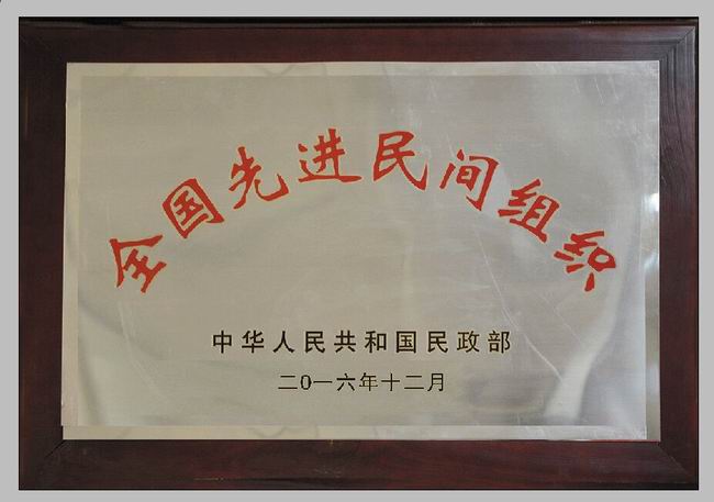 全國(guó)先進(jìn)民間組織