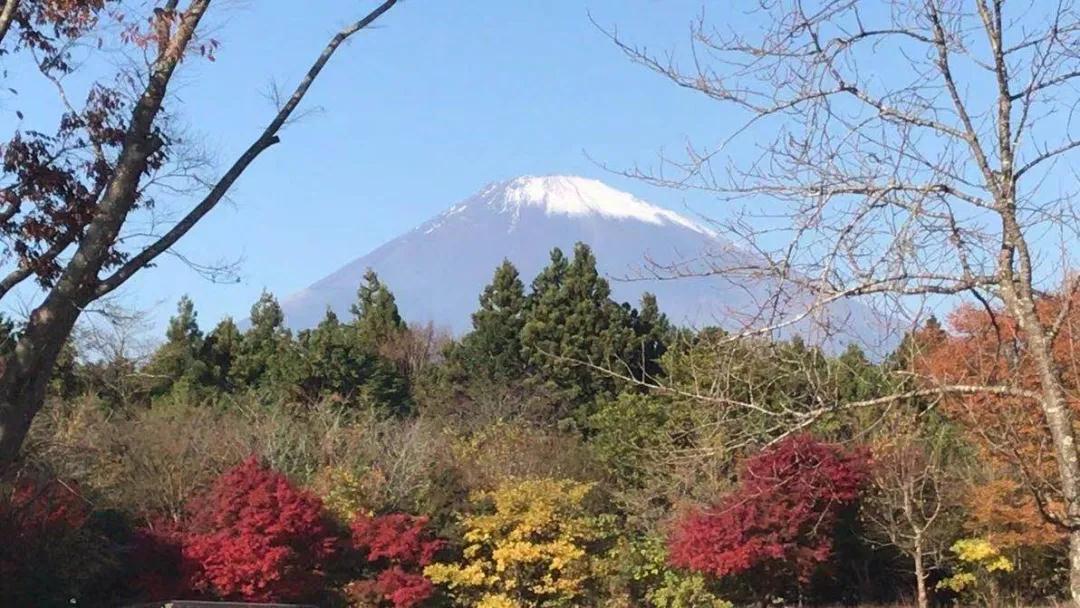 1611106719191467.jpg 1611106719191467.jpg